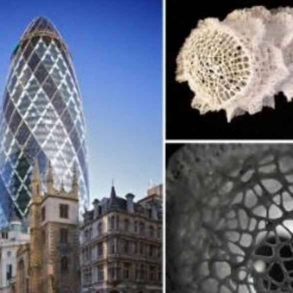 1ST EXAMPLE: THE GHERKIN