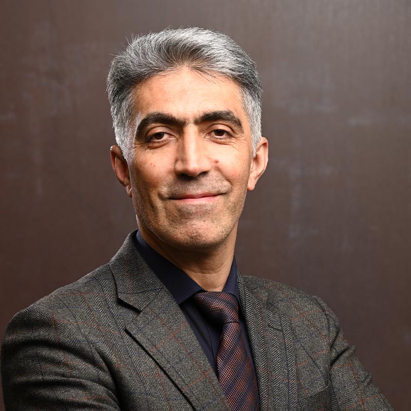 Dr-Mehdi-Rakhtala-Assistant-Professor-Engineering-with-Mechatronics-Systems-ASU-London